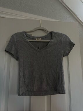 Project Social T Gray Ribbed V-Neck Crop Top